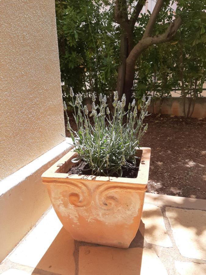 Kuca Za Odmor Lavanda Poljica  Εξωτερικό φωτογραφία