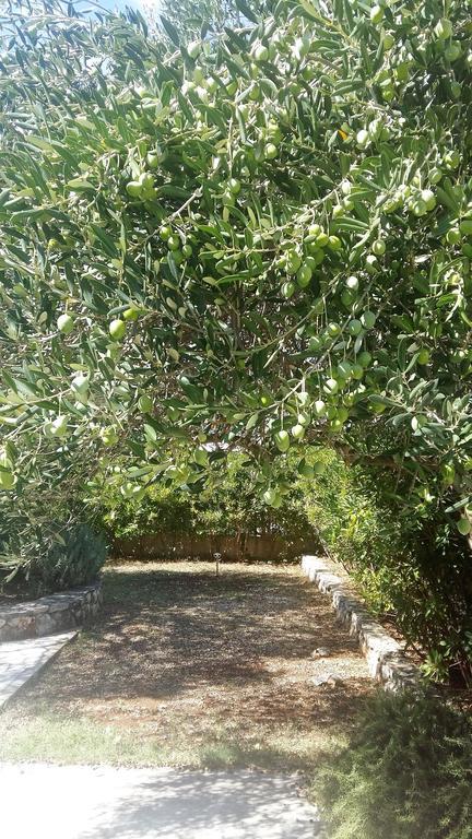 Kuca Za Odmor Lavanda Poljica  Εξωτερικό φωτογραφία